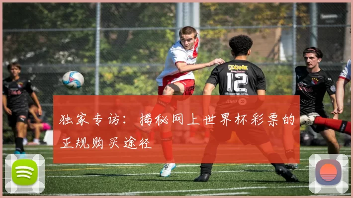 独家专访：揭秘网上世界杯彩票的正规购买途径