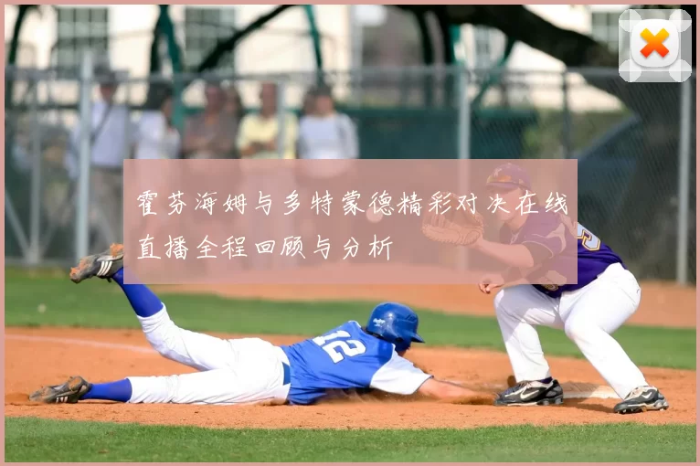 霍芬海姆与多特蒙德精彩对决在线直播全程回顾与分析