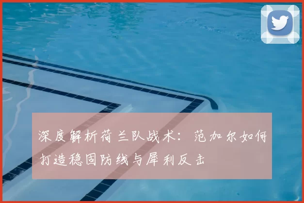 深度解析荷兰队战术：范加尔如何打造稳固防线与犀利反击