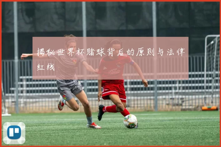 揭秘世界杯赌球背后的原则与法律红线