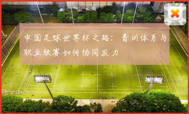 中国足球世界杯之路：青训体系与职业联赛如何协同发力