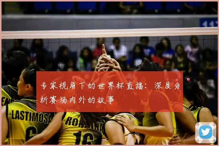 专家视角下的世界杯直播:深度分析赛场内外的故事