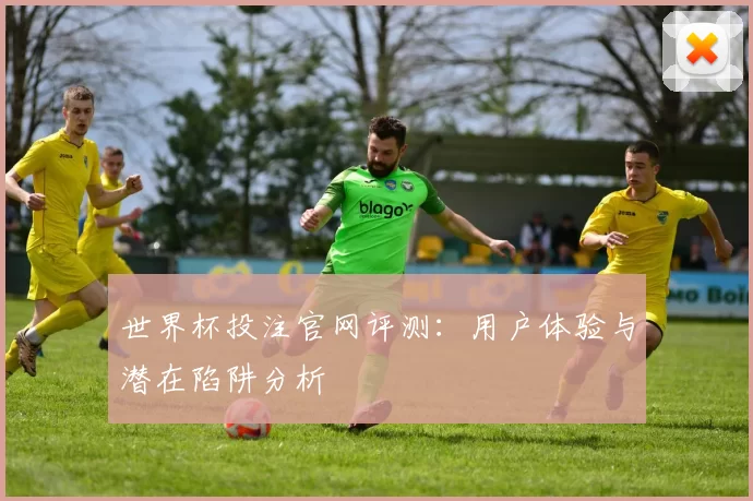 世界杯投注官网评测：用户体验与潜在陷阱分析