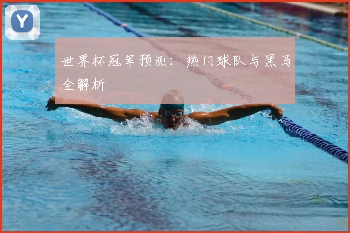 世界杯冠军预测:热门球队与黑马全解析