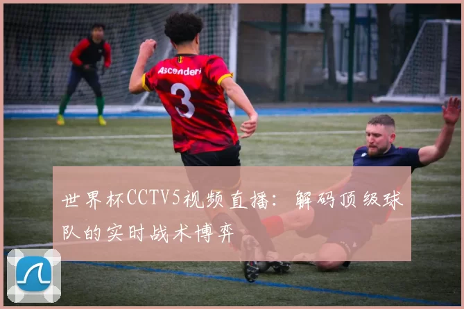 世界杯CCTV5视频直播:解码顶级球队的实时战术博弈