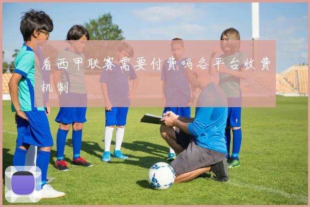看西甲联赛需要付费吗各平台收费机制
