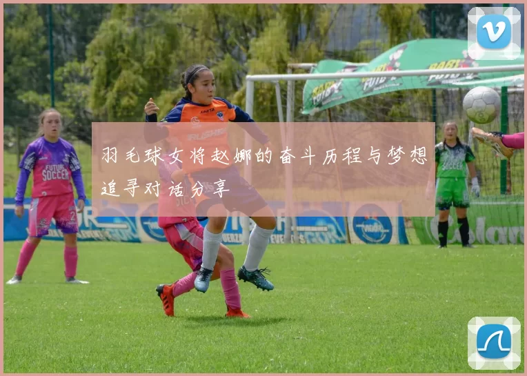 羽毛球女将赵娜的奋斗历程与梦想追寻对话分享