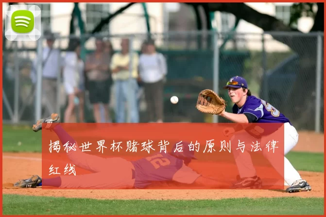 揭秘世界杯赌球背后的原则与法律红线